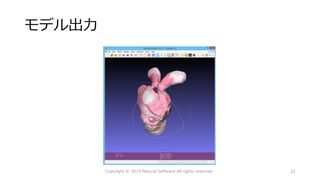 モデル出力
Copyright © 2015 Natural Software All rights reserved. 21
 