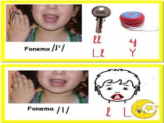 /J /
/J /
V
/ l /
 