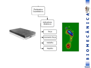 B
I
O
M
E
C
Â
N
I
C
A
Rodacki
 