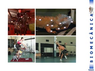 B
I
O
M
E
C
Â
N
I
C
A
Rodacki
 