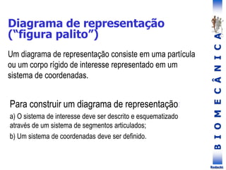 B
I
O
M
E
C
Â
N
I
C
A
Rodacki
Um diagrama de representação consiste em uma partícula
ou um corpo rígido de interesse representado em um
sistema de coordenadas.
Para construir um diagrama de representação:
a) O sistema de interesse deve ser descrito e esquematizado
através de um sistema de segmentos articulados;
b) Um sistema de coordenadas deve ser definido.
Diagrama de representação
(“figura palito”)
 