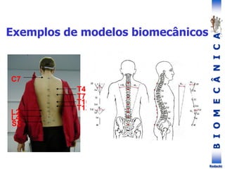 B
I
O
M
E
C
Â
N
I
C
A
Rodacki
C7
T4
T7
T10
T12
L2
L4
S2
Exemplos de modelos biomecânicos
 