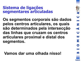 B
I
O
M
E
C
Â
N
I
C
A
Rodacki
Os segmentos corporais são dados
pelos centros articulares, os quais
são determinados pela intersecção
das linhas que cruzam os centros
articulares proximal e distal dos
segmentos.
Sistema de ligações
segmentares articuladas
Vamos dar uma olhada nisso!
 