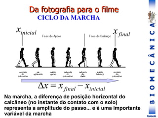 B
I
O
M
E
C
Â
N
I
C
A
Rodacki
inicial
final x
x
x 


Na marcha, a diferença de posição horizontal do
calcâneo (no instante do contato com o solo)
representa a amplitude do passo... e é uma importante
variável da marcha
final
x
inicial
x
Da fotografia para o filme
 