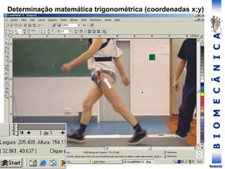 B
I
O
M
E
C
Â
N
I
C
A
Rodacki
Determinação matemática trigonométrica (coordenadas x;y)
 