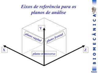 B
I
O
M
E
C
Â
N
I
C
A
Rodacki
X Z
Y
Eixos de referência para os
planos de análise
 