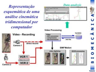 B
I
O
M
E
C
Â
N
I
C
A
Rodacki
Representação
esquemática de uma
análise cinemática
tridimensional por
computador
Data analysis
 