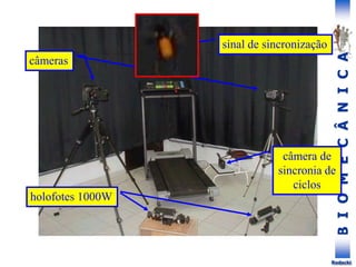 B
I
O
M
E
C
Â
N
I
C
A
Rodacki
holofotes 1000W
sinal de sincronização
câmeras
câmera de
sincronia de
ciclos
 