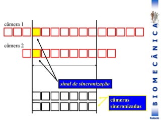 B
I
O
M
E
C
Â
N
I
C
A
Rodacki
câmera 1
câmera 2
sinal de sincronização
câmeras
sincronizadas
 
