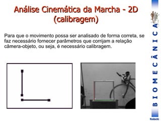 B
I
O
M
E
C
Â
N
I
C
A
Rodacki
Análise Cinemática da Marcha - 2D
(calibragem)
Para que o movimento possa ser analisado de forma correta, se
faz necessário fornecer parâmetros que corrijam a relação
câmera-objeto, ou seja, é necessário calibragem.
 