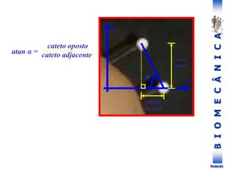 B
I
O
M
E
C
Â
N
I
C
A
Rodacki
x
y
Cateto
oposto
Cateto
adjacente
α
atan α =
cateto oposto
cateto adjacente
 