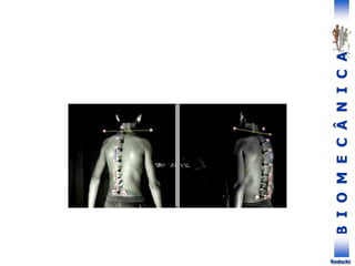 B
I
O
M
E
C
Â
N
I
C
A
Rodacki
 