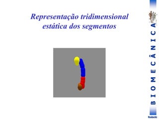 B
I
O
M
E
C
Â
N
I
C
A
Rodacki
Representação tridimensional
estática dos segmentos
 