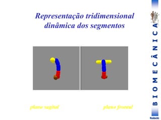 B
I
O
M
E
C
Â
N
I
C
A
Rodacki
Representação tridimensional
dinâmica dos segmentos
plano sagital plano frontal
 