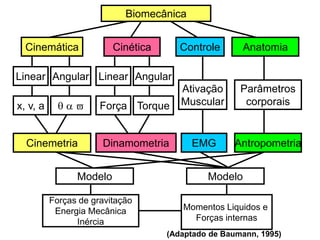 Biomecânica
Cinemática Cinética Anatomia
Linear Linear Angular
x, v, a    Força Torque
Angular
Cinemetria Dinamometria
Controle
Ativação
Muscular
EMG
Parâmetros
corporais
Antropometria
Modelo Modelo
Forças de gravitação
Energia Mecânica
Inércia
Momentos Liquidos e
Forças internas
(Adaptado de Baumann, 1995)
 