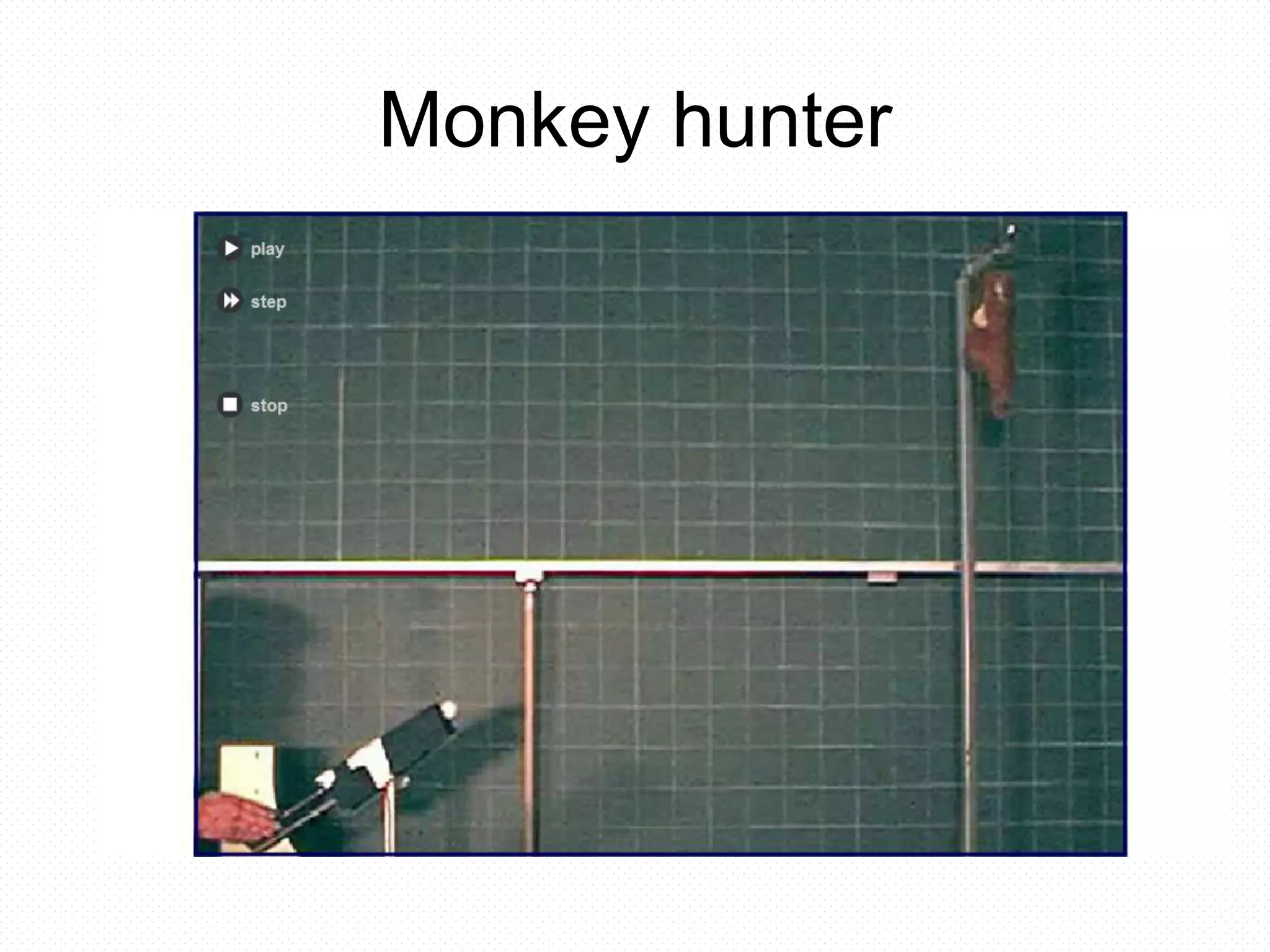 Monkey hunter
 