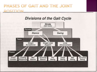 Kinematic analysis of gait and joint | PPTX