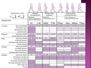 Kinematic analysis of gait and joint | PPTX