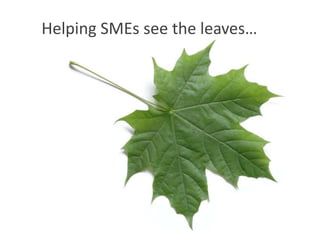Helping SMEs see the leaves…<br />