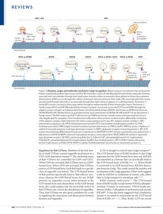 Kinesin | PDF