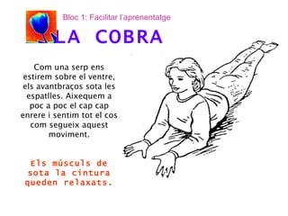Com una serp ens estirem sobre el ventre, els avantbraços sota les espatlles. Aixequem a poc a poc el cap cap enrere i sentim tot el cos com segueix aquest moviment. Els músculs de sota la cintura queden relaxats. LA COBRA Bloc 1: Facilitar l’aprenentatge 