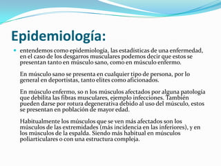Epidemiología:
 entendemos como epidemiología, las estadísticas de una enfermedad,
en el caso de los desgarros musculares podemos decir que estos se
presentan tanto en músculo sano, como en músculo enfermo.
En músculo sano se presenta en cualquier tipo de persona, por lo
general en deportistas, tanto elites como aficionados.
En músculo enfermo, so n los músculos afectados por alguna patología
que debilita las fibras musculares, ejemplo infecciones. También
pueden darse por rotura degenerativa debido al uso del músculo, estos
se presentan en población de mayor edad.
Habitualmente los músculos que se ven más afectados son los
músculos de las extremidades (más incidencia en las inferiores), y en
los músculos de la espalda. Siendo más habitual en músculos
poliarticulares o con una estructura compleja.
 