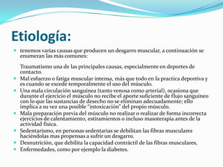 Etiología:
 tenemos varias causas que producen un desgarro muscular, a continuación se
enumeran las más comunes:
Traumatismo una de las principales causas, especialmente en deportes de
contacto.
 Mal esfuerzo o fatiga muscular intensa, más que todo en la practica deportiva y
es cuando se excede temporalmente el uso del músculo.
 Una mala circulación sanguínea (tanto venosa como arterial), ocasiona que
durante el ejercicio el músculo no recibe el aporte suficiente de flujo sanguíneo
con lo que las sustancias de desecho no se eliminan adecuadamente; ello
implica a su vez una posible “intoxicación” del propio músculo.
 Mala preparación previa del músculo no realizar o realizar de forma incorrecta
ejercicios de calentamiento, estiramientos o incluso masoterapia antes de la
actividad física.
 Sedentarismo, en personas sedentarias se debilitan las fibras musculares
haciéndolas mas propensas a sufrir un desgarro.
 Desnutrición, que debilita la capacidad contráctil de las fibras musculares,
 Enfermedades, como por ejemplo la diabetes.
 