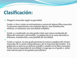 Clasificación:
 Desgarro muscular según su gravedad:
Grado 1 o leve: existe un estiramiento o rotura de alguna fibra muscular.
La persona experimenta una molestia ligera y una tumefacción
mínima, se mantiene una movilidad completa.

Grado 2 o moderado: en este grado existe una rotura moderada de
fibras del músculo y del tendón. La palpación en la zona afectada es
dolorosa, tumefacción y una pérdida de movilidad.

Grado 3 o grave: en este grado presenta la rotura completa del vientre
muscular, de la unión miotendinosa o de la inserción del tendón. A la
palpación se aprecia un defecto notable y amplio en la fibra muscular.
Existe menos capacidad de movilidad y carga que en el grado 2, dolor
más intenso que en los grados precedentes.
 