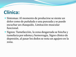 Clínica:
 Síntomas: Al momento de producirse se siente un
dolor como de puñalada o una punzada y se puede
escuchar un chasquido, Limitación muscular
funcional.
 Signos: Tumefacción, la zona desgarrada se hincha y
tumefacta por edema y hemorragia, Signo clínico de
depresión, al pasar los dedos se nota un agujero en la
zona.
 