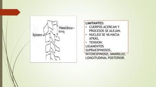 LIMITANTES:
• CUERPOS ACERCAN Y
PROCESOS SE ALEJAN.
• NUCLEO SE VA HACIA
ATRÁS.
• TENSION:
LIGAMENTOS
SUPRAESPINOSOS,
INTERESPINOSO, AMARILLO,
LONGITUDINAL POSTERIOR.
 