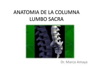 ANATOMIA DE LA COLUMNA
LUMBO SACRA
Dr. Marco Amaya
 