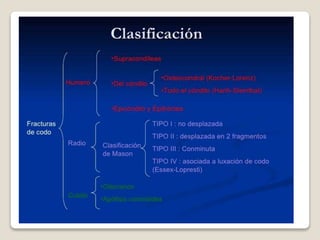 Kinesiologia del codo