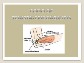 Kinesiologia del codo | PPTX