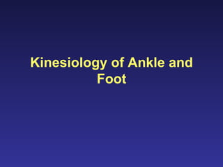 Kinesiology of Ankle and Foot 