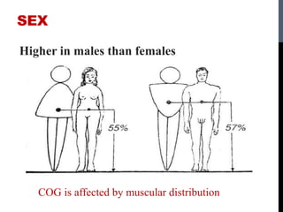 SEX
Higher in males than females
COG is affected by muscular distribution
 