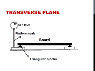 TRANSVERSE PLANE
 
