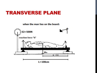 TRANSVERSE PLANE
 