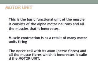Kinesiology in Medical Rehabilitation.pptx