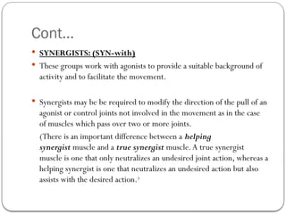 inroduction to exercise therapy by dena gardiner kinesiology muscle ...