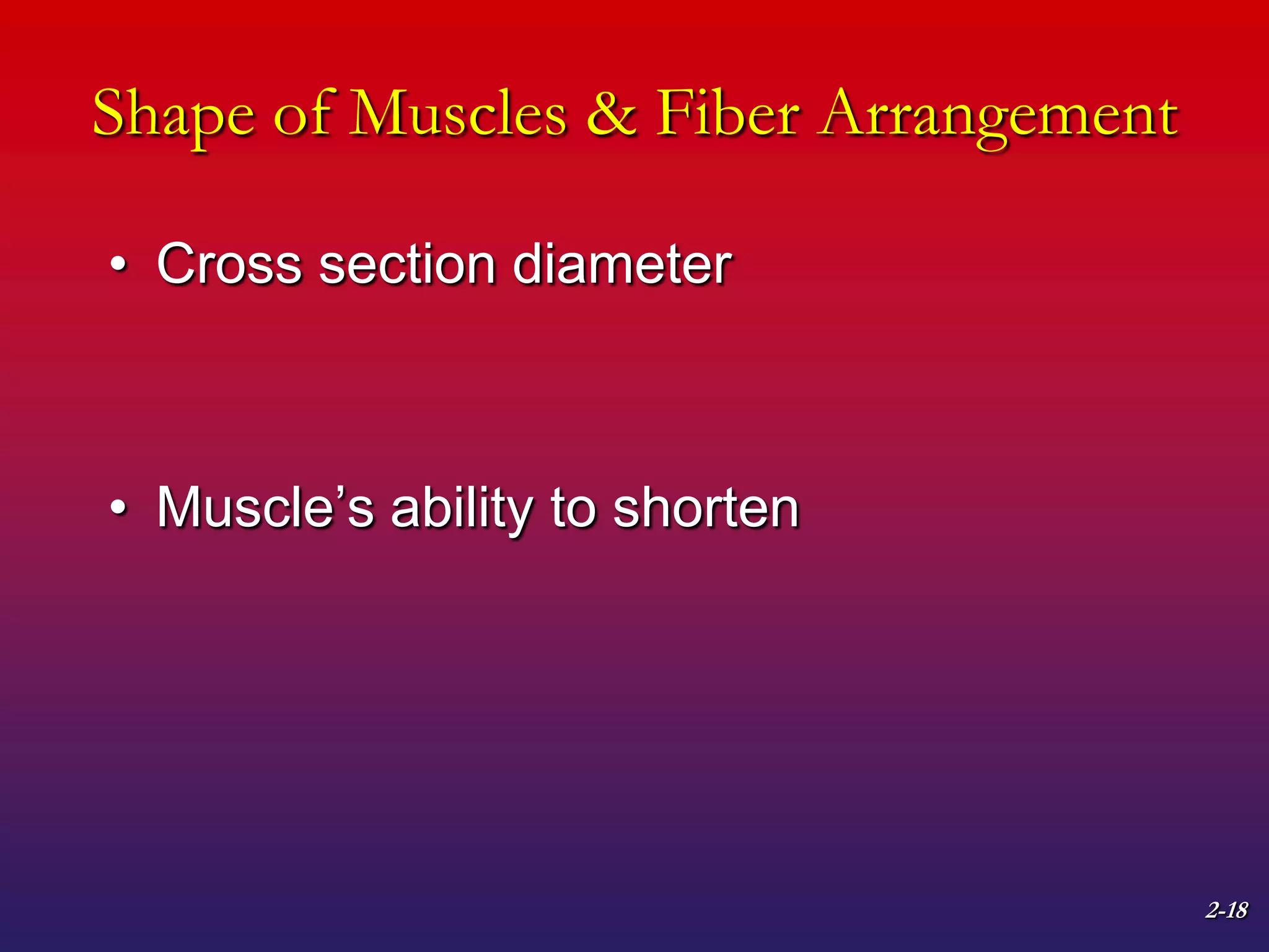 2-18
Shape of Muscles & Fiber Arrangement
• Cross section diameter
• Muscle’s ability to shorten
 
