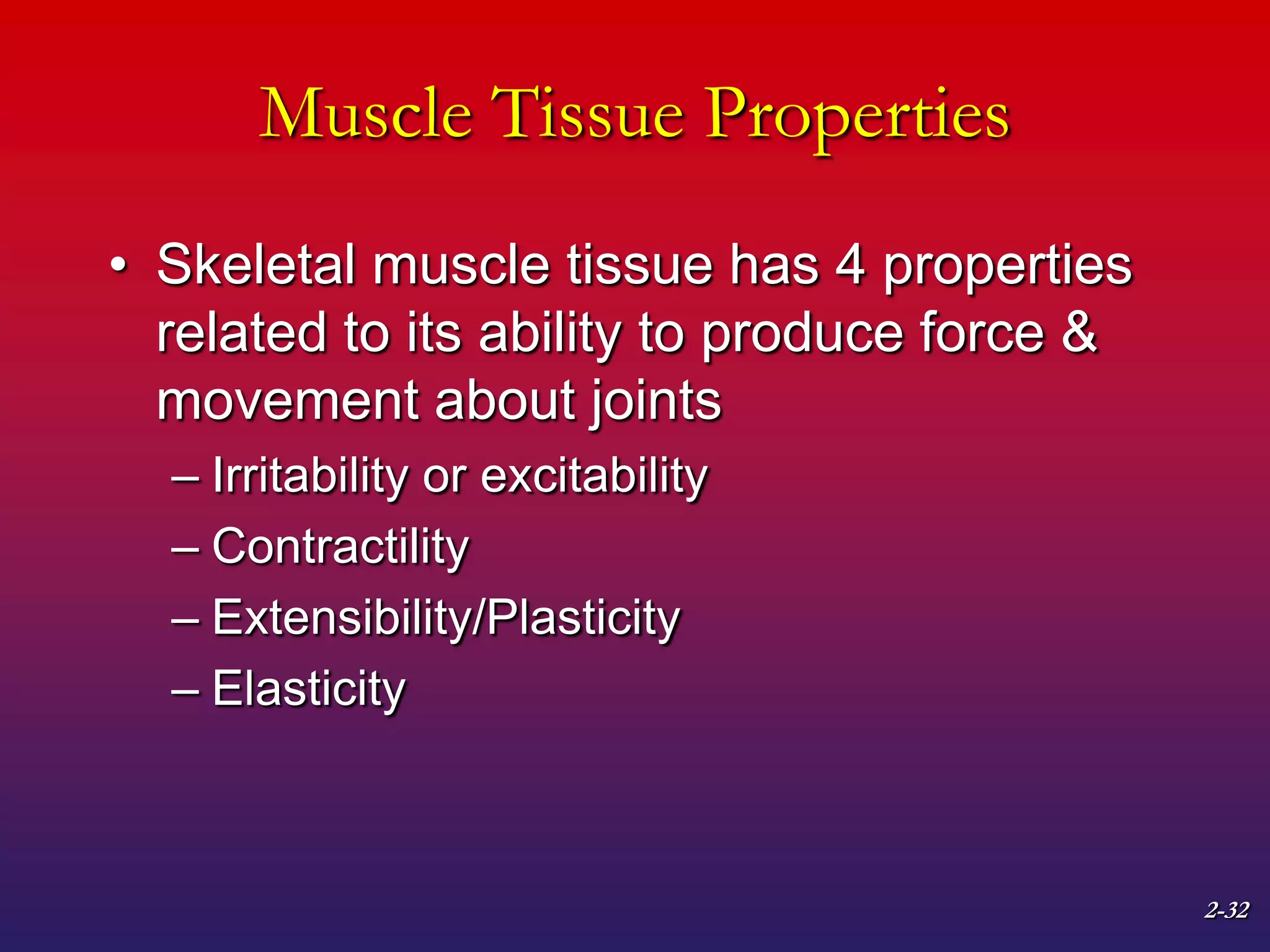 2-32
Muscle Tissue Properties
• Skeletal muscle tissue has 4 properties
related to its ability to produce force &
movement about joints
– Irritability or excitability
– Contractility
– Extensibility/Plasticity
– Elasticity
 