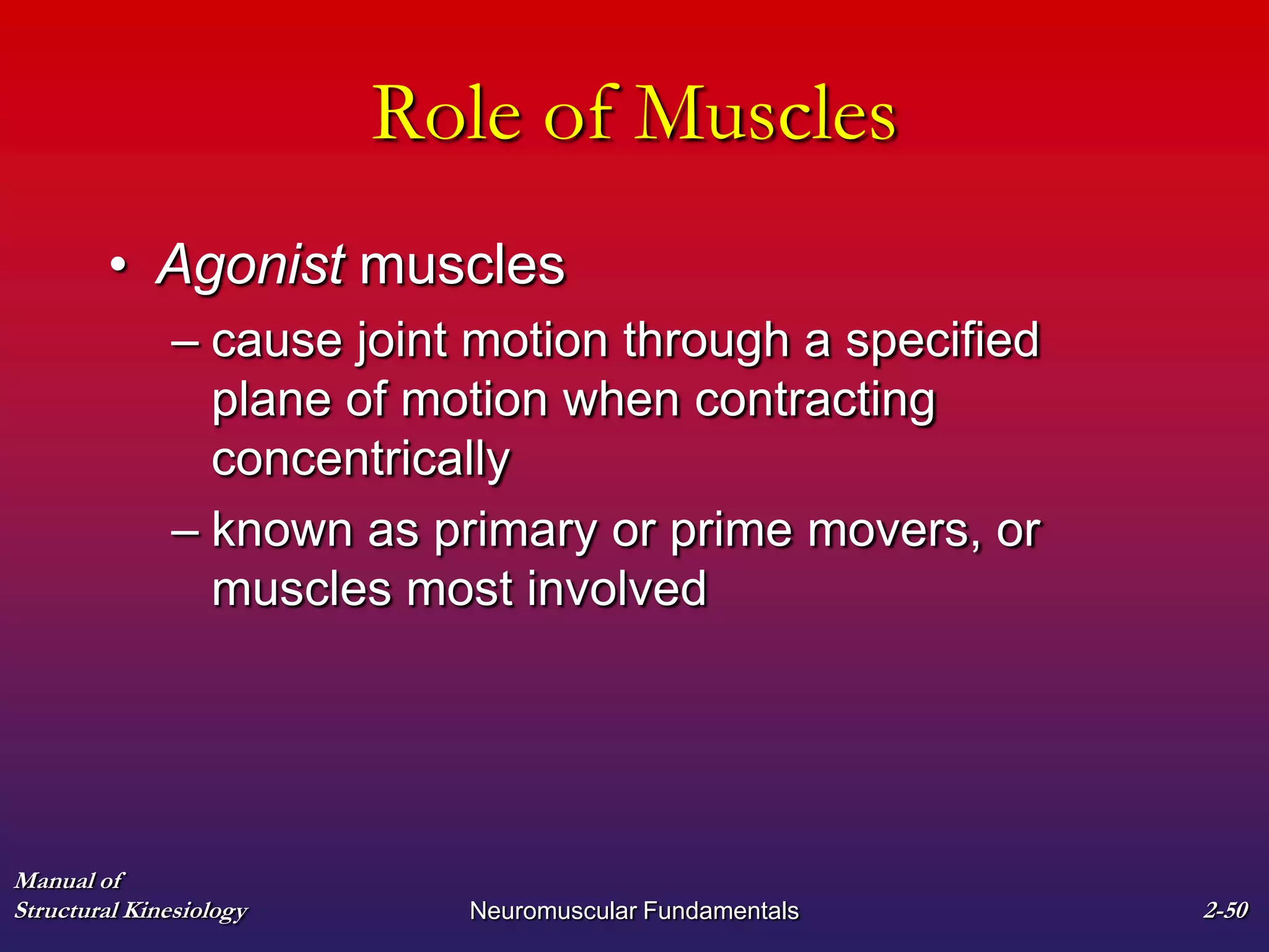 Manual of
Structural Kinesiology Neuromuscular Fundamentals 2-50
Role of Muscles
• Agonist muscles
– cause joint motion through a specified
plane of motion when contracting
concentrically
– known as primary or prime movers, or
muscles most involved
 