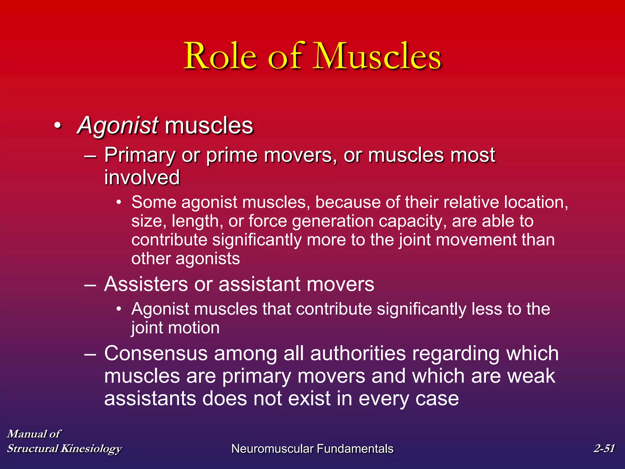 Manual of
Structural Kinesiology Neuromuscular Fundamentals 2-51
Role of Muscles
• Agonist muscles
– Primary or prime movers, or muscles most
involved
• Some agonist muscles, because of their relative location,
size, length, or force generation capacity, are able to
contribute significantly more to the joint movement than
other agonists
– Assisters or assistant movers
• Agonist muscles that contribute significantly less to the
joint motion
– Consensus among all authorities regarding which
muscles are primary movers and which are weak
assistants does not exist in every case
 