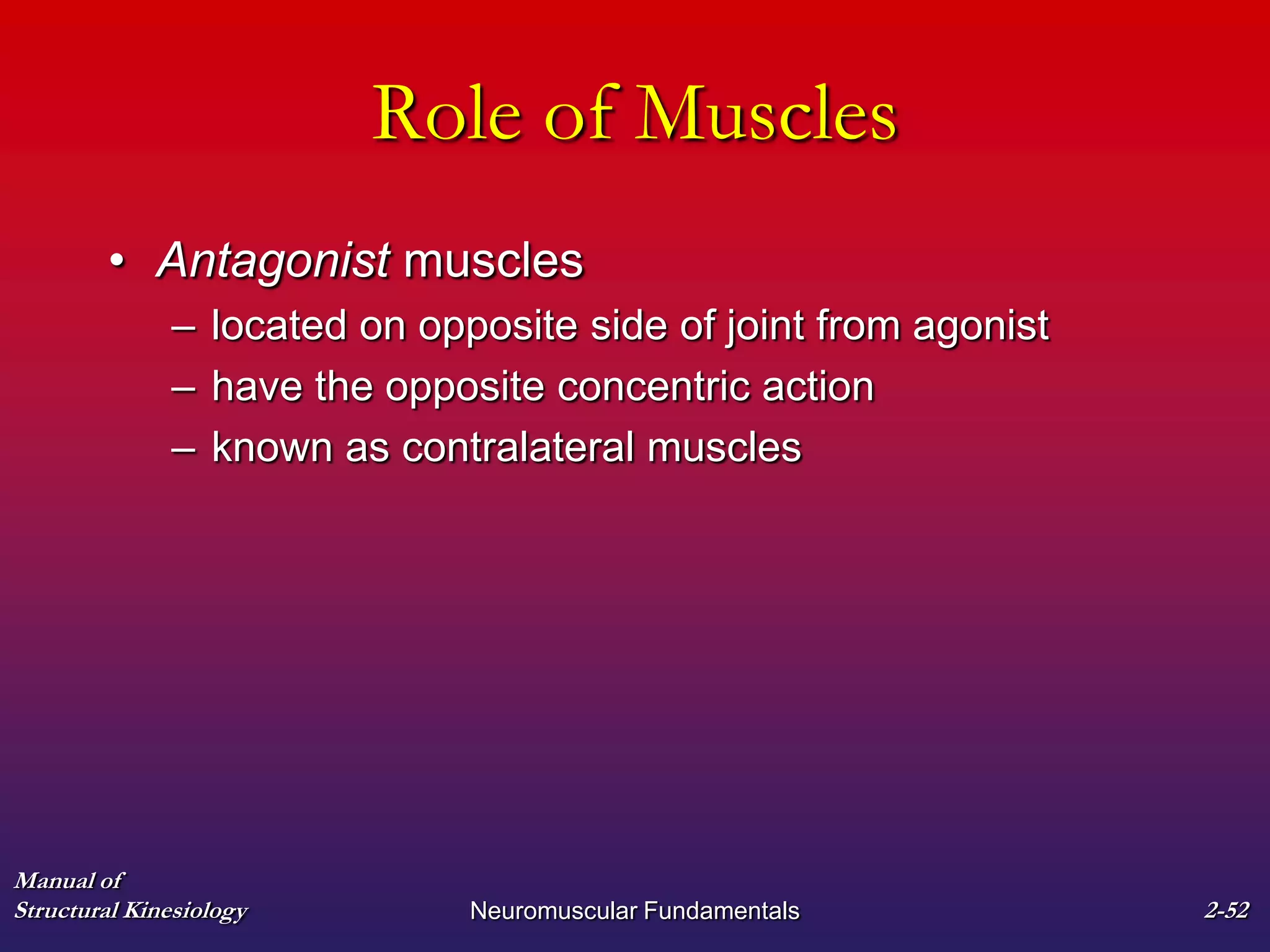 Manual of
Structural Kinesiology Neuromuscular Fundamentals 2-52
Role of Muscles
• Antagonist muscles
– located on opposite side of joint from agonist
– have the opposite concentric action
– known as contralateral muscles
 