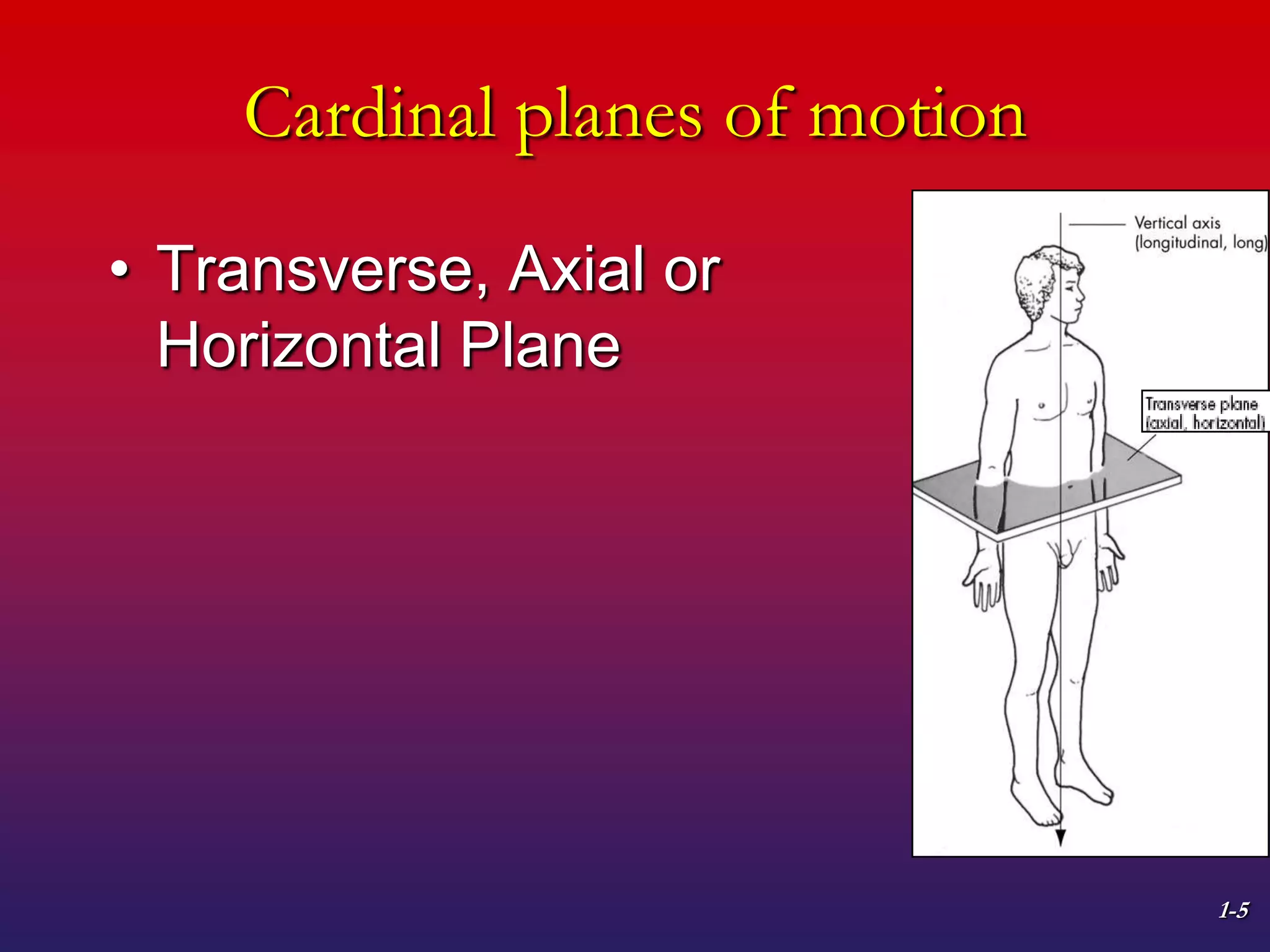 1-5
Cardinal planes of motion
• Transverse, Axial or
Horizontal Plane
 