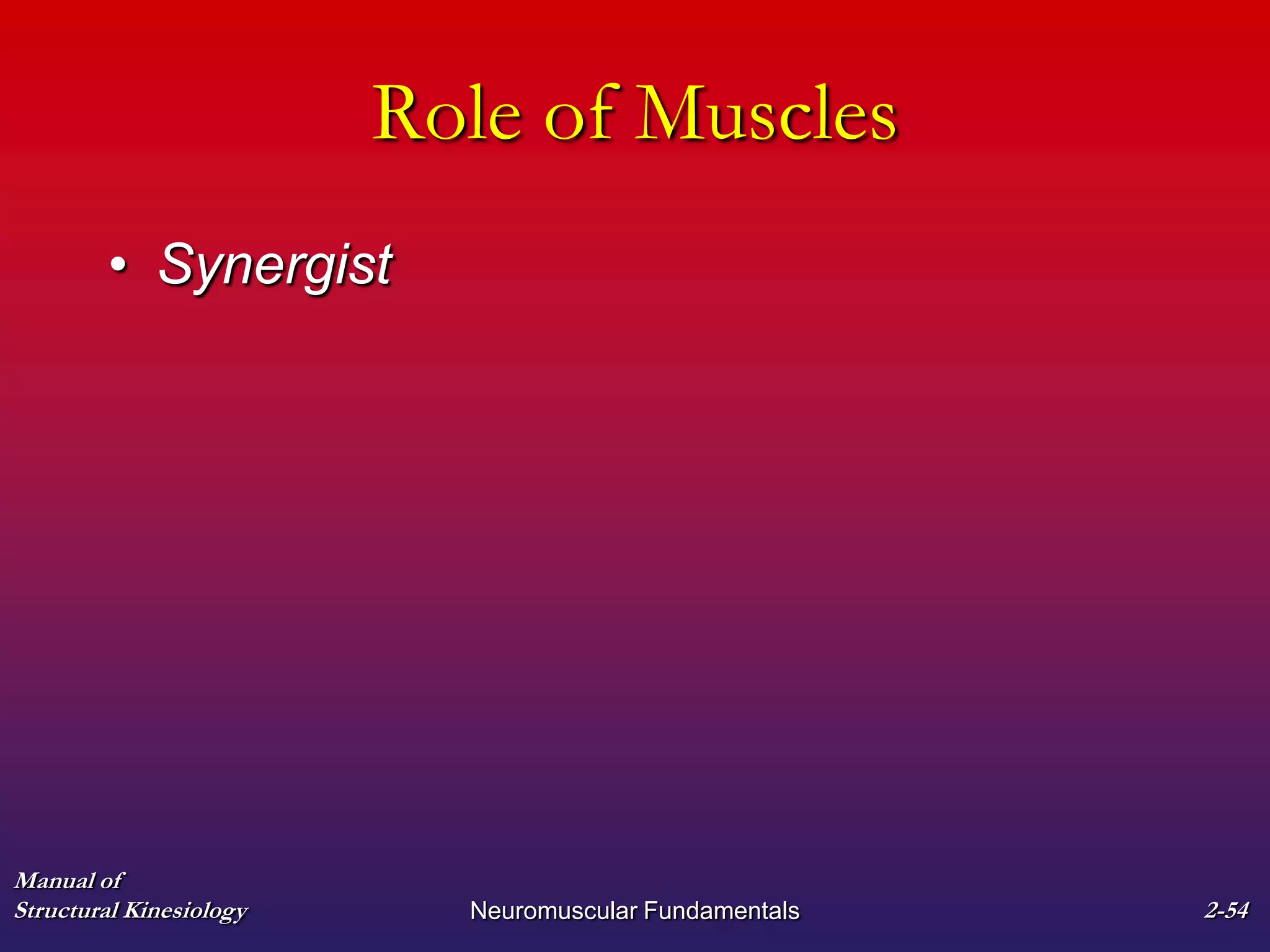 Manual of
Structural Kinesiology Neuromuscular Fundamentals 2-54
Role of Muscles
• Synergist
 