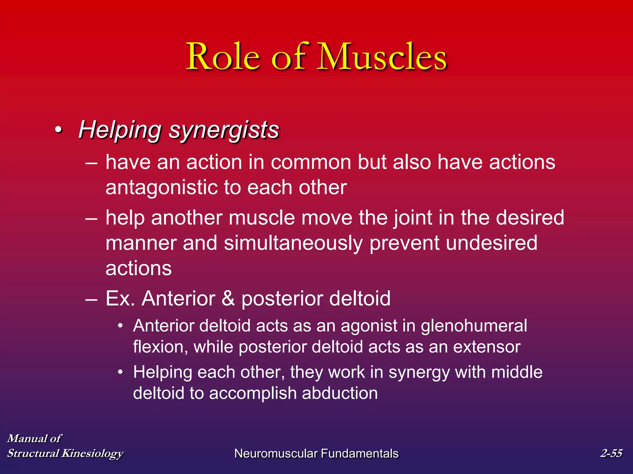 Manual of
Structural Kinesiology Neuromuscular Fundamentals 2-55
Role of Muscles
• Helping synergists
– have an action in common but also have actions
antagonistic to each other
– help another muscle move the joint in the desired
manner and simultaneously prevent undesired
actions
– Ex. Anterior & posterior deltoid
• Anterior deltoid acts as an agonist in glenohumeral
flexion, while posterior deltoid acts as an extensor
• Helping each other, they work in synergy with middle
deltoid to accomplish abduction
 