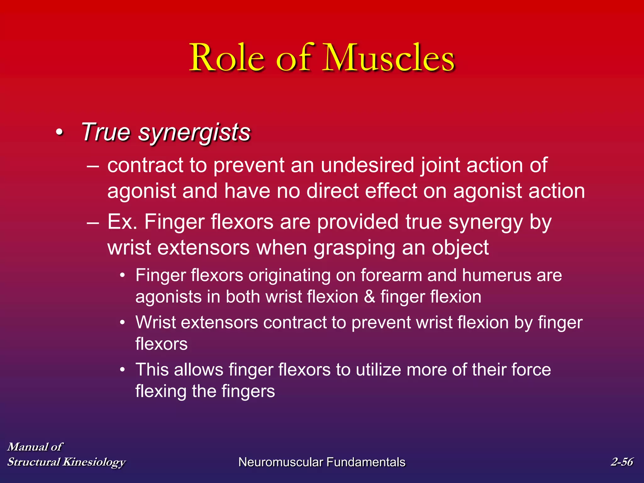 Manual of
Structural Kinesiology Neuromuscular Fundamentals 2-56
Role of Muscles
• True synergists
– contract to prevent an undesired joint action of
agonist and have no direct effect on agonist action
– Ex. Finger flexors are provided true synergy by
wrist extensors when grasping an object
• Finger flexors originating on forearm and humerus are
agonists in both wrist flexion & finger flexion
• Wrist extensors contract to prevent wrist flexion by finger
flexors
• This allows finger flexors to utilize more of their force
flexing the fingers
 
