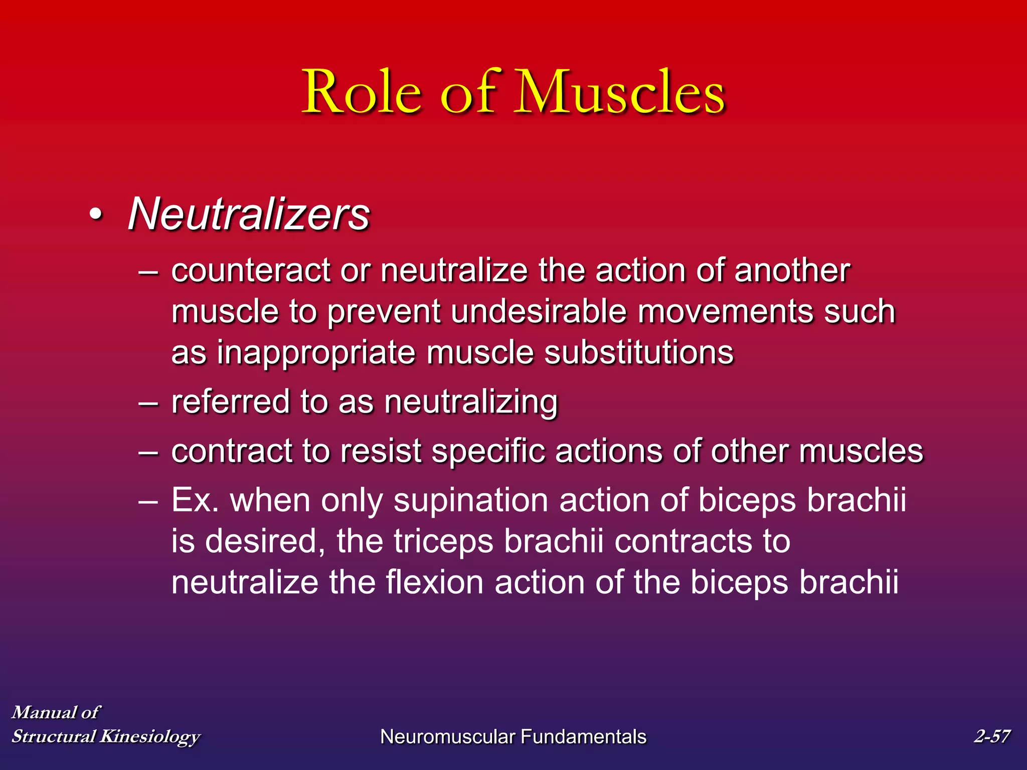 Manual of
Structural Kinesiology Neuromuscular Fundamentals 2-57
Role of Muscles
• Neutralizers
– counteract or neutralize the action of another
muscle to prevent undesirable movements such
as inappropriate muscle substitutions
– referred to as neutralizing
– contract to resist specific actions of other muscles
– Ex. when only supination action of biceps brachii
is desired, the triceps brachii contracts to
neutralize the flexion action of the biceps brachii
 