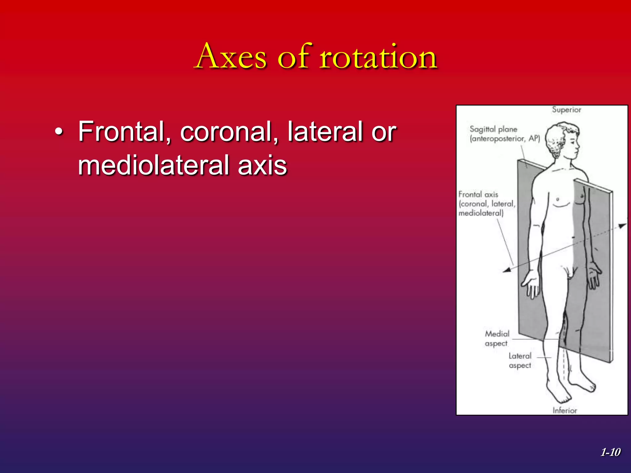 1-10
Axes of rotation
• Frontal, coronal, lateral or
mediolateral axis
 